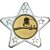 Pool Star Shaped Medal | Silver | 50mm - M10S.POOL