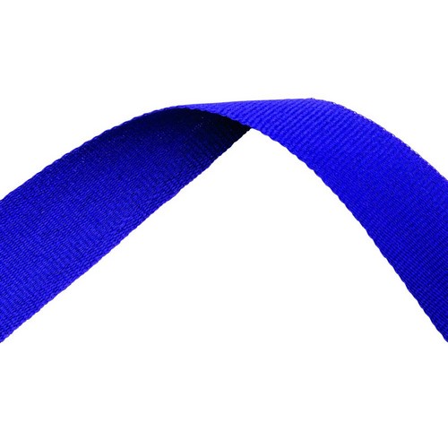 Purple Medal Ribbon with metal clip | 22mm x 800mm