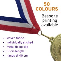 Blue and Yellow Medal Ribbon with metal clip | 22mm x 800mm