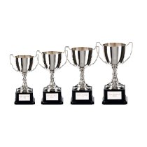 Autograss Racing Trophy Pack of 4 | Legend Nickel Cup