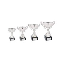 Autograss Racing Trophy Pack of 4 | Marquis Cup