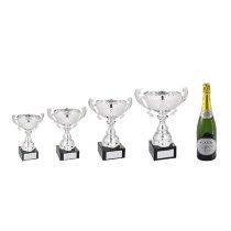 Autograss Racing Trophy Pack of 4 | Marquis Cup