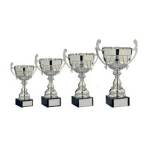 Autograss Racing Trophy Pack of 4 | Thor Cup