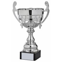 Autograss Racing Trophy Pack of 4 | Thor Cup