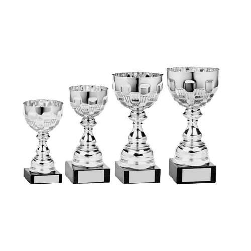 Autograss Racing Trophy Pack of 4 | Ely Cup