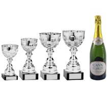 Autograss Racing Trophy Pack of 4 | Ely Cup