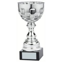 Autograss Racing Trophy Pack of 4 | Ely Cup