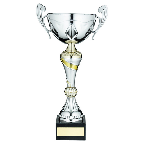 Silver/Gold Trophy Cup With Handles | 279mm