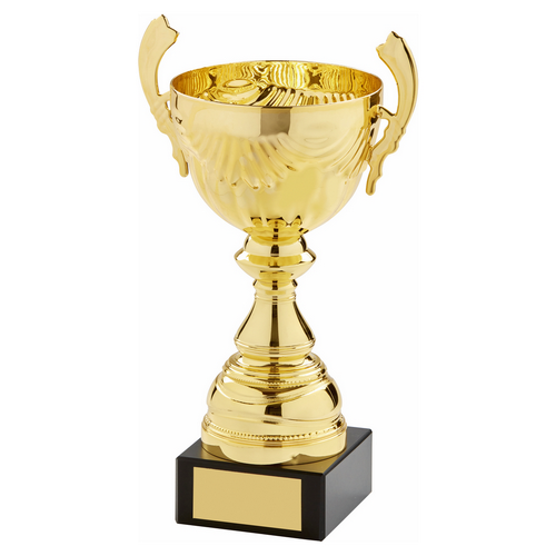Aero Gold Trophy Cup With Handles | 285mm | G58