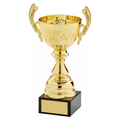 Aero Gold Trophy Cup With Handles | 245mm | G58