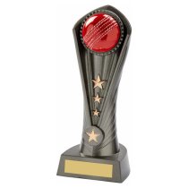 Cobra Steel Cricket Trophy | 210mm | G49