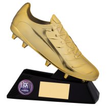 Galaxy Football Award | 160mm |