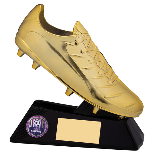 Galaxy Football Award | 160mm |