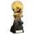 Trailblazer Football Trophy | Heavyweight | Male | Gold | 190mm | G6 - PA24003B