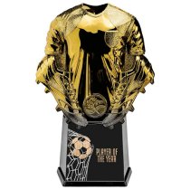 Invincible Shirt Player of Year Football Trophy | Gold | 220mm | G25