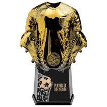 Invincible Shirt Player of Month Football Trophy| Gold | 220mm | G25
