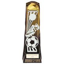 Shard Football Managers Player Football Trophy | Gold to Black | 230mm | G7