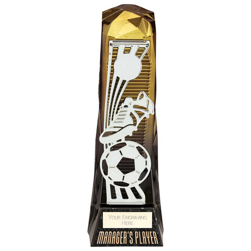 Shard Football Managers Player Football Trophy | Gold to Black | 230mm | G7