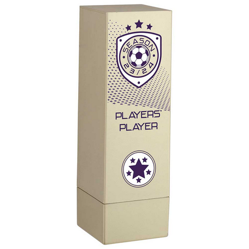 Prodigy Tower Players Player Football Trophy | Gold | 160mm | G23