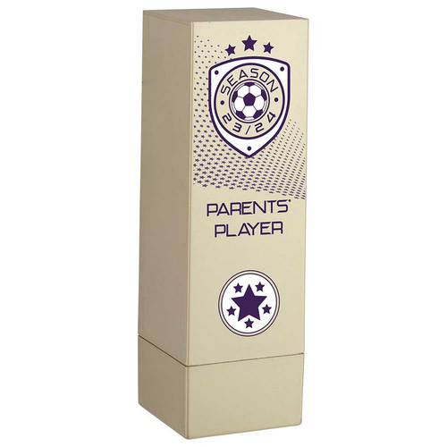 Prodigy Tower Parents Player Football Trophy | Gold | 160mm | G23