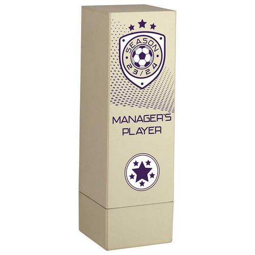 Prodigy Tower Managers Player Football Trophy | Gold | 160mm | G23