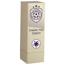 Prodigy Tower Thank You Coach Football Trophy | Gold | 160mm | G23