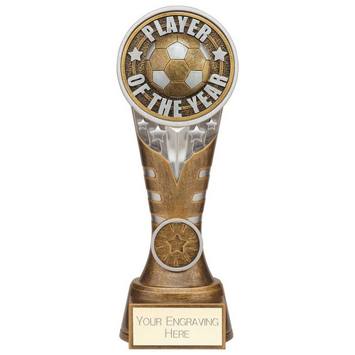 Ikon Tower Player of the Year Football Trophy | Antique Silver & Gold | 200mm | G24