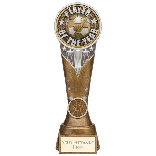 Ikon Tower Player of the Year Football Trophy | Antique Silver & Gold | 225mm | G24