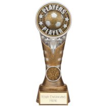 Ikon Tower Players Player Football Trophy | Antique Silver & Gold | 200mm | G24