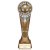 Ikon Tower Thank you Coach Football Trophy | Antique Silver & Gold | 225mm | G24 - PA24151E