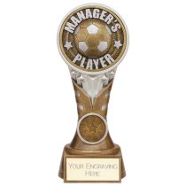 Ikon Tower Managers Player Football Trophy | Antique Silver & Gold | 175mm | G24