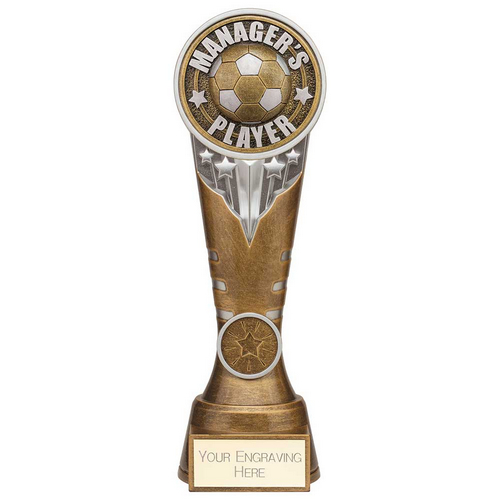 Ikon Tower Managers Player Football Trophy | Antique Silver & Gold | 225mm | G24