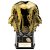 Invincible Heavyweight Rugby Shirt Trophy | Gold and Carbon Black | 190mm |  - PA24619C