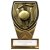 Fusion Cobra Cricket Trophy | Black & Gold | 110mm | G9 - PM24209A
