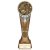 Ikon Tower Cricket Bowler Trophy | Antique Silver & Gold | 225mm | G24 - PA24157E