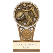 Ikon Tower Cricket Batsman Trophy | Antique Silver & Gold | 125mm | G9