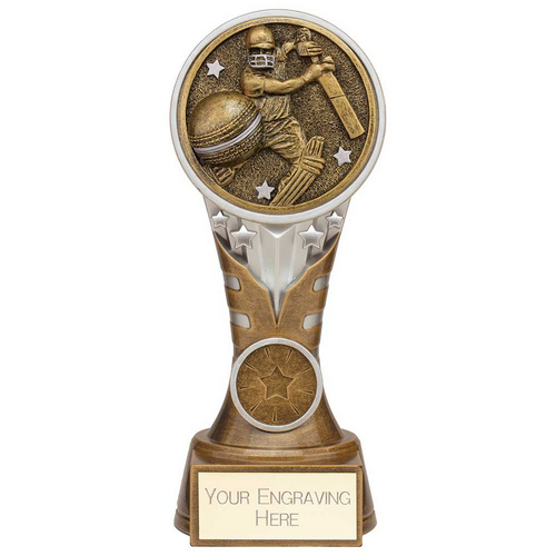 Ikon Tower Cricket Batsman Trophy | Antique Silver & Gold | 175mm | G24