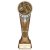 Ikon Tower Cricket Batsman Trophy | Antique Silver & Gold | 225mm | G24 - PA24158E