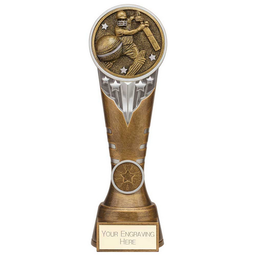 Ikon Tower Cricket Batsman Trophy | Antique Silver & Gold | 225mm | G24