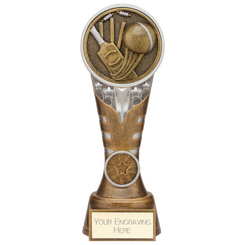 Ikon Tower Cricket Trophy | Antique Silver & Gold | 200mm | G24