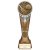 Ikon Tower Cricket Trophy | Antique Silver & Gold | 225mm | G24 - PA24159E