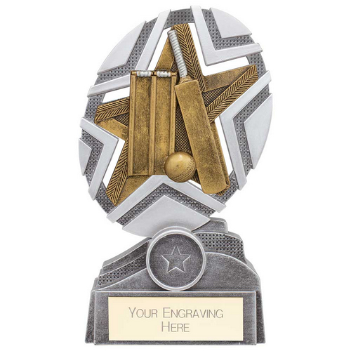 The Stars Cricket Plaque Trophy | Silver & Gold | 170mm | G25