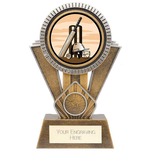Apex Cricket Trophy | Gold & Silver | 180mm | G25