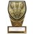 Fusion Cobra Darts Trophy | Black & Gold | 110mm | G9 - PM24205A