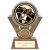 Apex Darts Trophy | Gold & Silver | 155mm | G25 - PM24358B