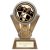 Apex Darts Trophy | Gold & Silver | 180mm | G25 - PM24358C