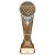 Ikon Tower Pool Trophy | Antique Silver & Gold | 225mm | G24 - PA24161E