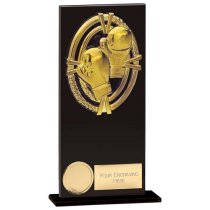 Maverick Fusion Boxing Trophy | Black Glass | 180mm |