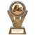 Apex Boxing Trophy  | Gold & Silver | 180mm | G25 - PM24359C