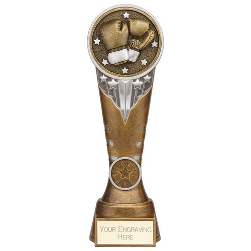 Ikon Tower Boxing Trophy | Antique Silver & Gold | 225mm | G24